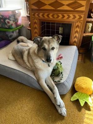 visit Buddy's profile