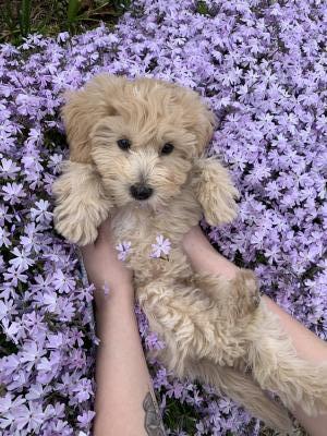 Visit Brinley's profile