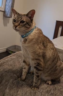 Visit Luna's profile