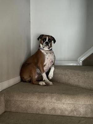 Visit Bow 's profile