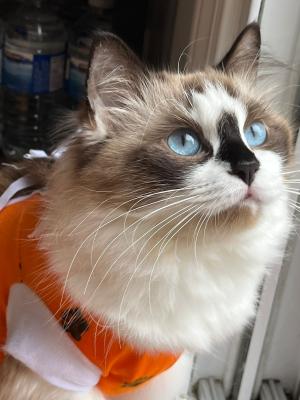 Visit Mia's profile