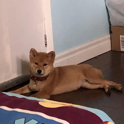 Visit Hana's profile