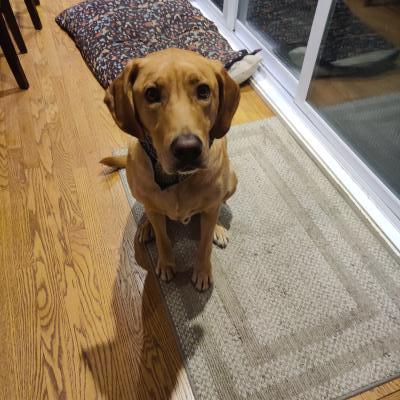 Visit Luka's profile
