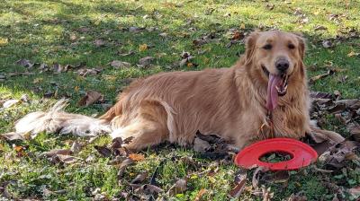 visit Annie's profile