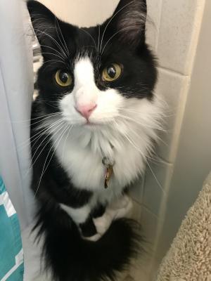 visit Mittens's profile