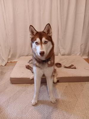 Visit Luna's profile