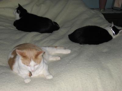 visit Louis's profile