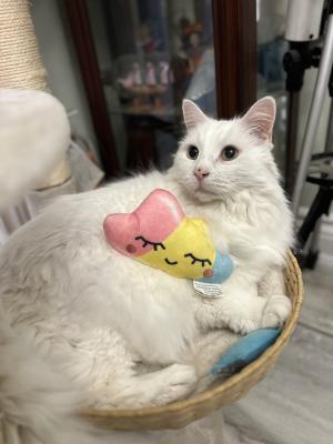 visit Yeti's profile