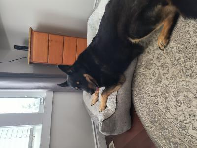 visit Phoenix's profile