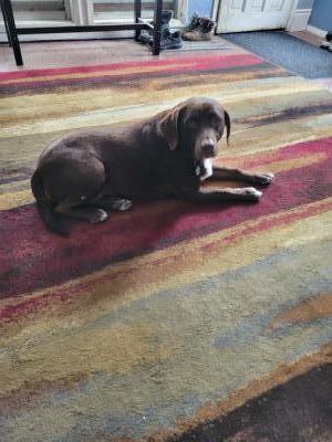 visit Missy's profile