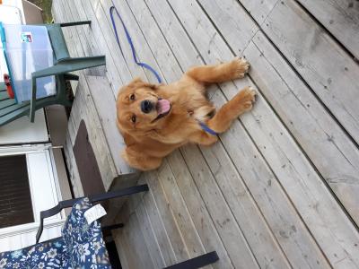 visit Marlin's profile