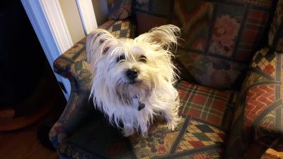 visit Skye's profile