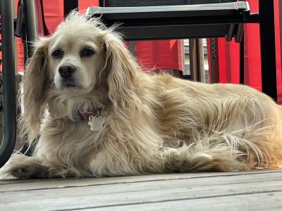 visit Yuki's profile