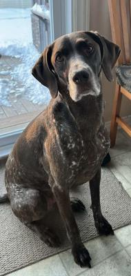 visit Carlie's profile