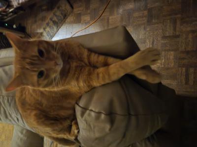 visit Sonic's profile