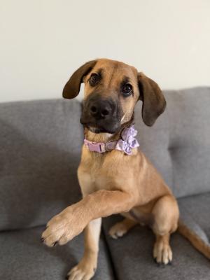 visit Mable's profile