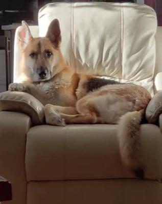 visit Tequila Guindon's profile