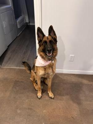 visit Maple's profile