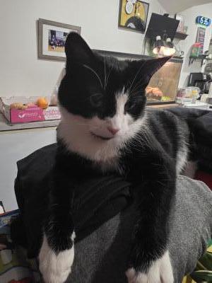 visit Wanita's profile