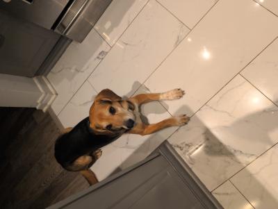 visit Rosie's profile