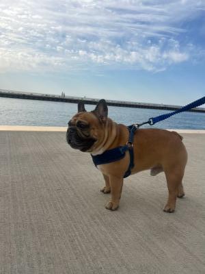 visit Wallace's profile