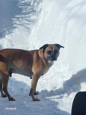 visit Jackson's profile