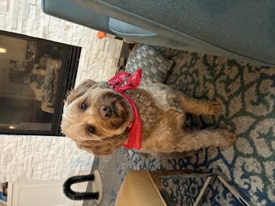 visit Hailey's profile