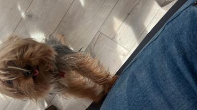 visit MILA's profile