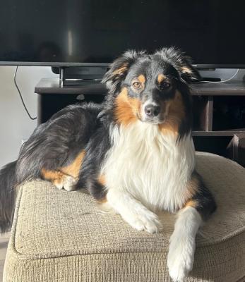 visit Nala's profile