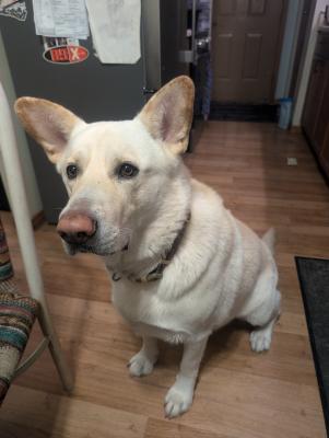 visit Kush's profile