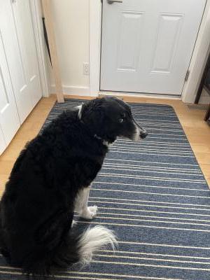 visit Millie's profile