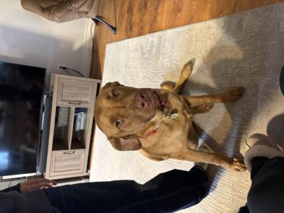 visit Sophie's profile