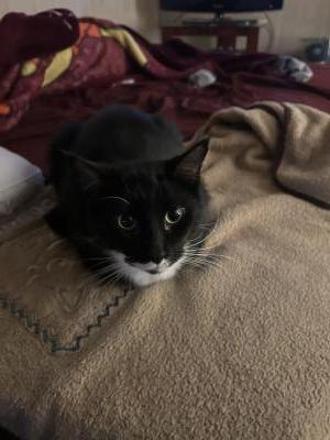 visit Pawzai's profile