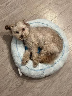 visit Marius Grenier's profile