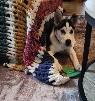 visit Timber's profile