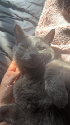 visit Po Da Costa's profile