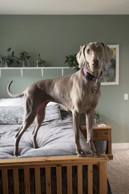 visit Maeve's profile