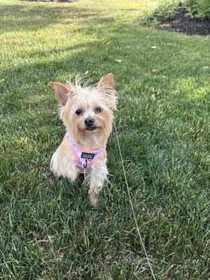 visit Bailey's profile