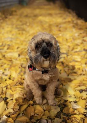 visit Cooper's profile