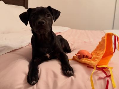 visit Cooper's profile