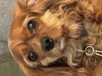 visit Teddy's profile