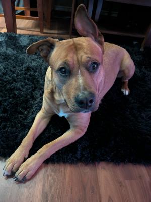 visit Otto's profile