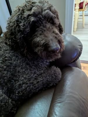 visit Tit-Nours's profile