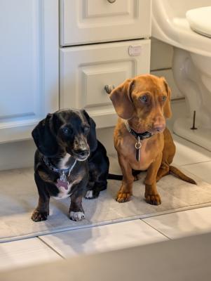 visit Jack's profile