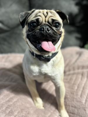 visit Waylon's profile