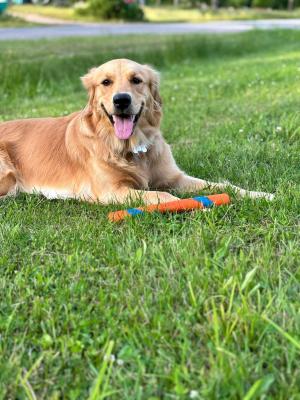 visit Sadie 's profile