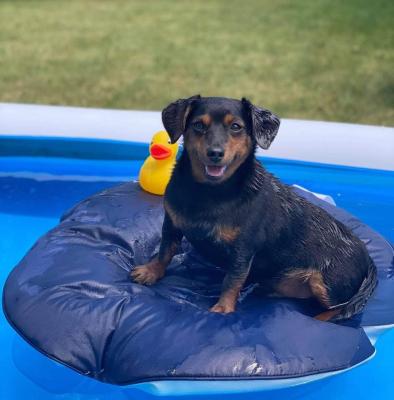 visit Cooper's profile