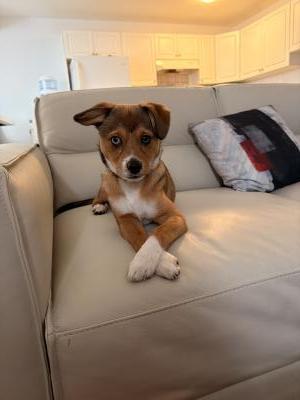 visit Borden 's profile