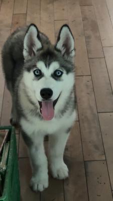 visit Storm's profile