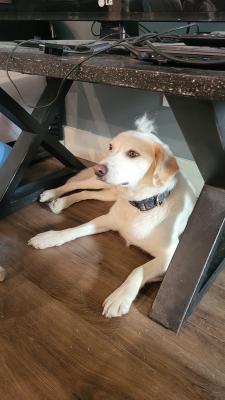 visit Gouda 's profile